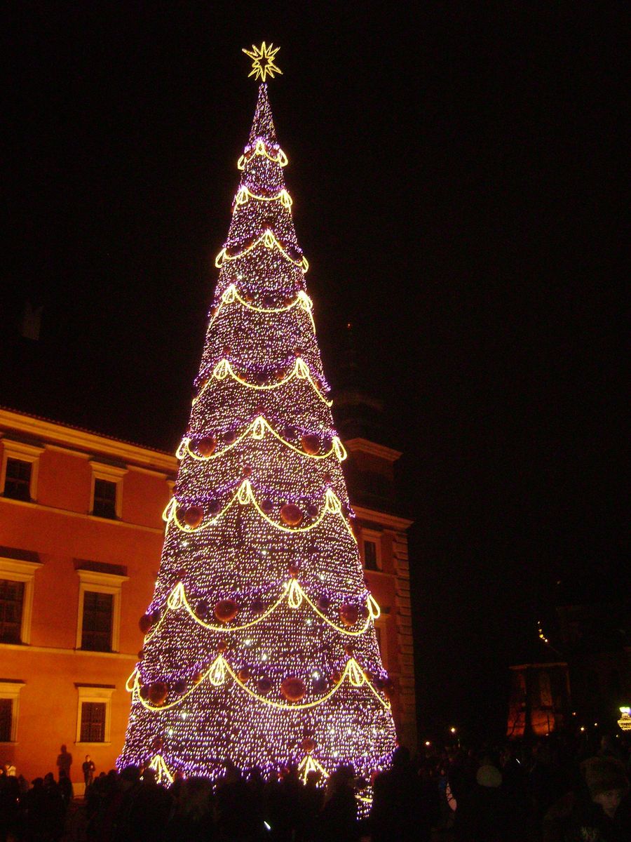 Der große Weihnachtsbaum auf dem Schlossplatz in Warschau bei Nacht